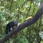 Vacances au Costa Rica | Accueil Conditions Générales de Vente