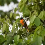 Vacances au Costa Rica | Accueil Témoignage de Voyageur,